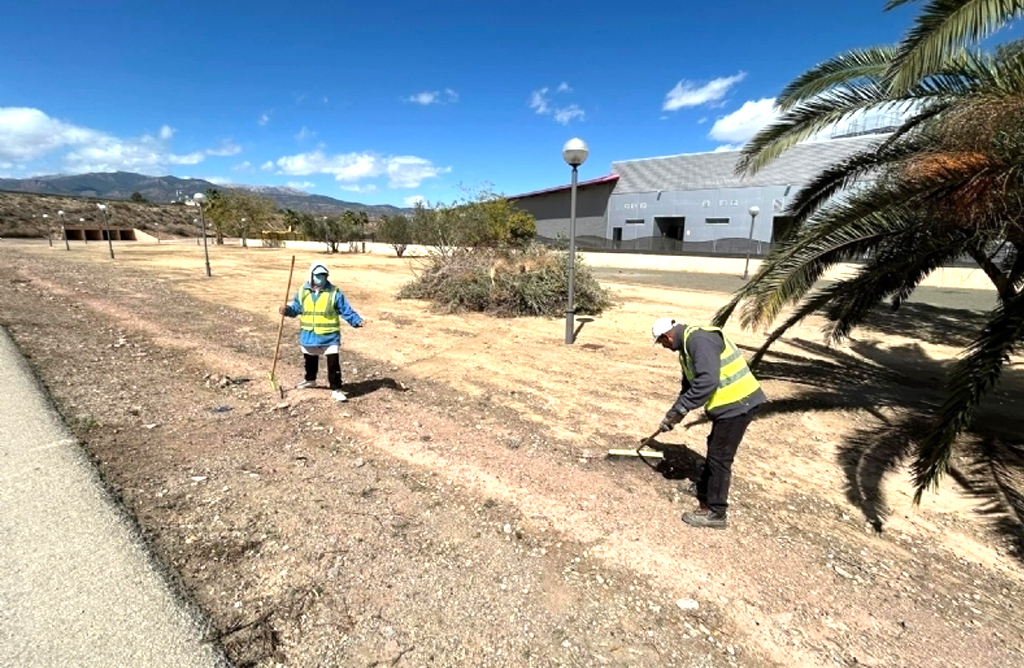 El SEPE asigna ms de 650.000 euros para la contratacin de trabajadores desempleados agrarios en Totana